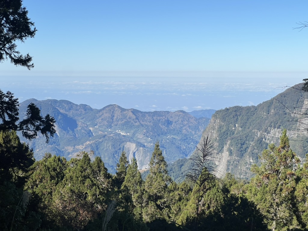 A view of the Alishan mountain valley framed by trees